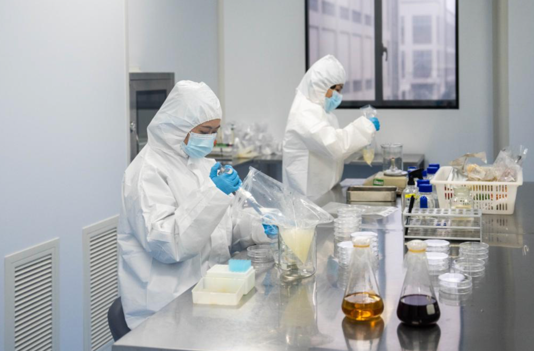 国家标准,行业标准,团体标准,标准参编,标准编制,标准起草,标准立项,研制及参与制修订,中标智研(深圳),国标,行标,团标,中标智研,中标智研（深圳）标准化技术咨询有限公司,标准验证及检测,研制,参与制修订,